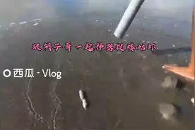 跟胡子哥一起神器捉蝼蛄虾视频封面