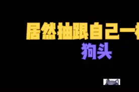 狗头卡包:竟然抽到了我自己视频封面