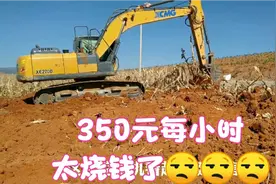 小伙贷款10万元租一台大型挖掘机来平地，每小时350元，太烧钱了