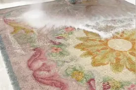 原来清洗地毯是这么简单的一件事，就这么一拖一冲，十分干净视频封面