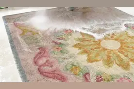 原来清洗地毯是这么简单的一件事，就这么一拖一冲，十分干净视频封面