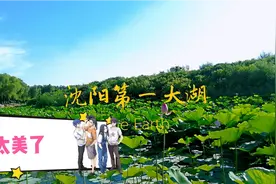 3分钟带你看沈阳最大城中湖，免费游泳，赏荷，景色很美视频封面