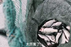 平顶山湛河开发路桥以东。好多人在这里钓鱼，这里的鱼口真好视频封面