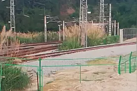 Z332次深圳东——成都东