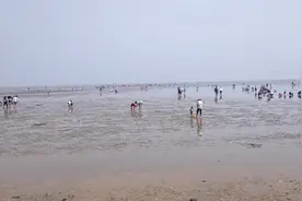 【赶海实拍】走！跟王姐到山东日照刘家湾赶海园逛一逛吧视频封面