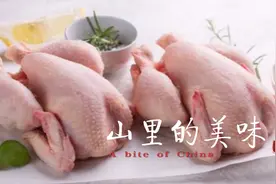 土鸡和肉鸡区别在哪里？有多大差距，了解一下