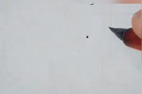 这个字我经常写错，也不知今天写对了没有