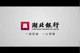 湖北银行成立5周年宣传片视频封面