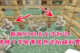 我的世界盘点：新版MC的五大冷知识！狼除了羊驼竟竟还怕踩到雪？