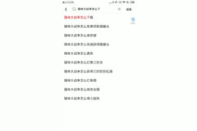 猫咪大战争，下载方法，要群找我