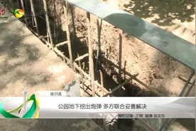 公园地下挖出炮弹 多方联合妥善解决视频封面