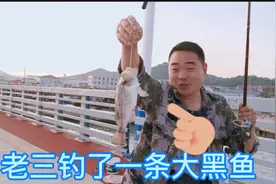 山东烟台长岛的大桥上：老三钓黑鱼爆钩不停，海岛鱼资源超丰富视频封面