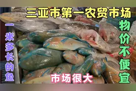 排骨55元，瘦肉30元，大白菜五元。三亚市第一农贸市场物价确实高视频封面