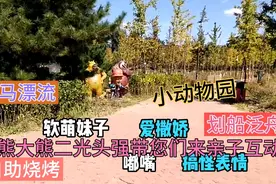 媚传丰台怪村万科农场亲子动物园门票免费不虚此行亲子互动乐园