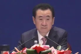 王健林怒怼某专家：还专家，我看是砖头的砖！