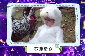 不同时辰出生的属鸡人命运如何？老人说的话太准了，句句诛心！视频封面