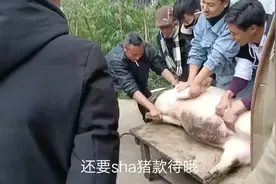 看看彝家人女孩订婚是怎么做米粑粑坨坨肉接待客人的吧！真有意思视频封面