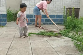 家里小半年没住人，院里长满了草，赶紧收拾一下，要不没法住人了视频封面