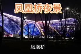 听老司机说:抢红不抢绿是什么意思？视频封面