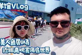 打卡离海最远的城市乌鲁木齐海洋馆。视频封面