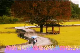 《我说我爱你》-刘嘉亮，2005到2020年，百听不厌！