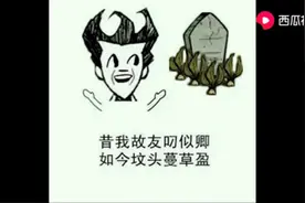 饥荒表情包合集1视频封面