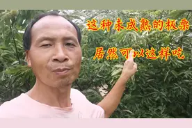 嫩板栗应该怎么吃？湖北宜昌70后农民，他是这样吃的，你想知道吗