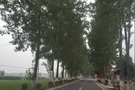 襄阳市南漳县最美的乡村公路，一路心旷神怡！视频封面