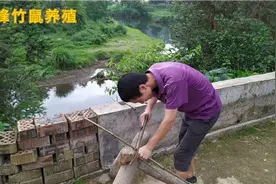 10块钱的捕泥鳅神器到手，看着简单其实很实用，以后吃泥鳅全靠它视频封面