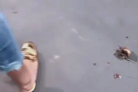 实拍：美女踩爆一只手掌大小的蜗牛🐌，来到番禺珠宝工厂视频封面