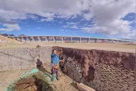 藏族阿佳徒手把牛屎糊在墙上原来是这个用处