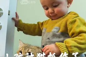 被家里的猫抓伤了怎么办？自救知识视频封面