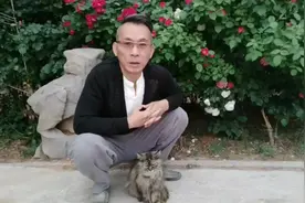 母猫把刚生的小猫给藏起来了，怕被黄鼠狼叼走，找了一天才找到