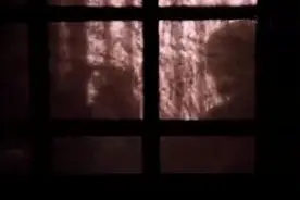 没想到锦衣卫青龙这么凶悍，再加上这条龙纹身，谁敢不服他？