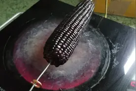 烤黑色玉米，不烧柴火不用碳，在家轻松搞定。