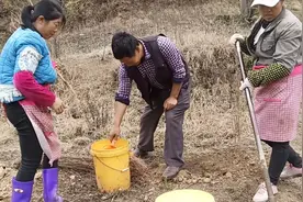 政府发树苗种一亩补贴1800，什么树这么值钱补贴这么高视频封面