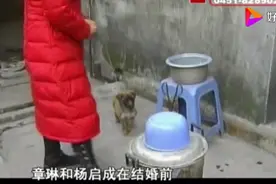 都市：小伙和变性人结婚，婚礼当天三条街被挤满，市民纷纷议论视频封面