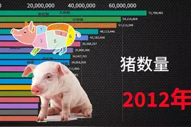 中国各省2001－2018猪数量统计数据，榜单上的排名是各省的情况视频封面