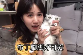从猫的脚掌看性格，看看你家猫咪什么性格吧，亲测较准！视频封面