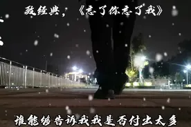 致经典.王杰《忘了你.忘了我》视频封面