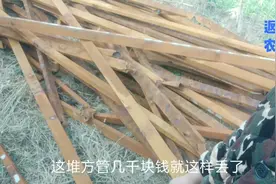 农夫和你聊聊怎么建设养殖场里的集粪池，最节约，少走弯路又经济视频封面