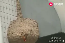用激光烧马蜂窝视频封面