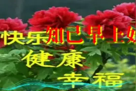 暖心问候知己，早上好！视频封面