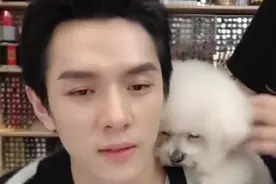 李佳琦的狗狗Never被自己女儿打了，好委屈哦视频封面
