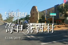 海口苍西村是海口最大的仓库村，村里面很多房子都是拿来当仓库。视频封面