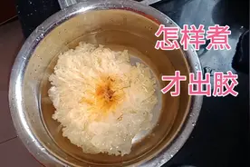 煮银耳羹  银耳要温水泡发两小时以上，不然怎么煮都不会出胶视频封面