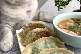 猫王：虾被锤100下会变成什么样？