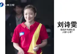 刘诗雯早餐就吃这么点，国乒出门在外有着很严格的饮食规律视频封面