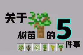 我的世界：树苗你不知道5件事！种树时千万不要站上面，容易窒息