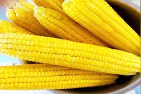 隔夜的玉米还能吃吗？我也是看完才知道，别不当个事，快看看